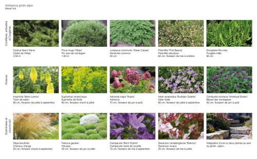 proposition de plantation