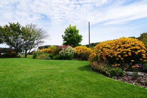 evertis pelouse entretien gazon parfait tondeuse