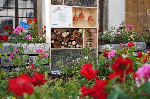 evertis paysagiste festival roses estavayer 