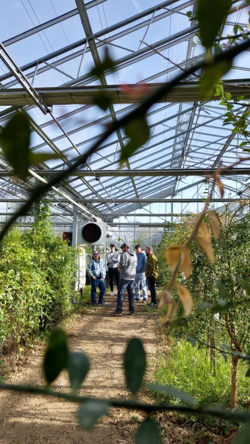 evertis sortie apprentis