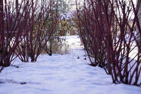 evertis-transition-hivernale