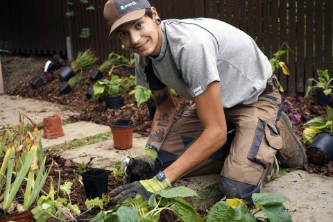 evertis apprenti formation paysagiste