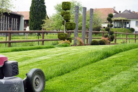 evertis_preparation_gazon_ete_belle_pelouse