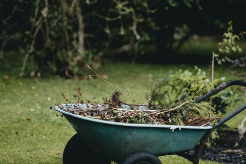 evertis élaguer arbre paysage