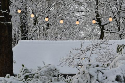 evertis jardin neige 