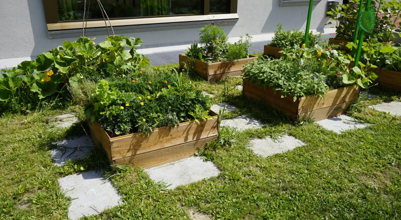 Collège de la Romanellaz