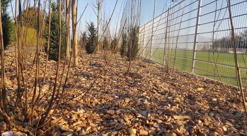 Zone sportive - plantations