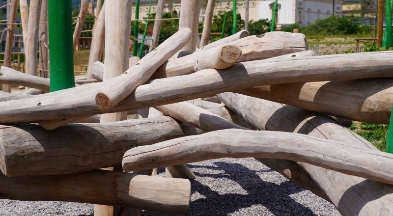 parc des jeunes rives