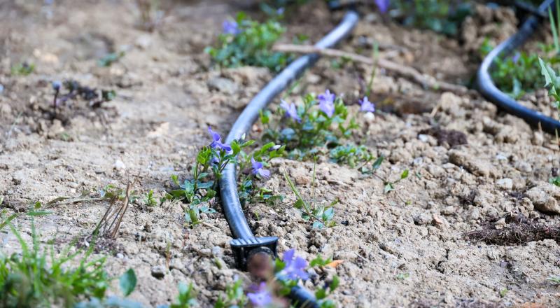 evertis_malley_phare_1