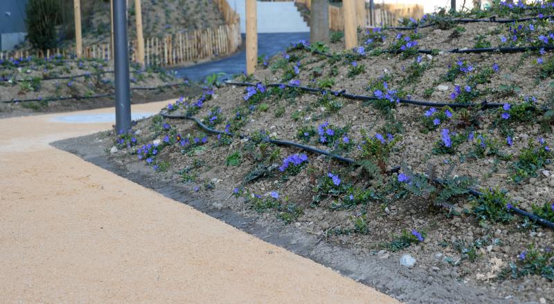 evertis_malley_phare_8