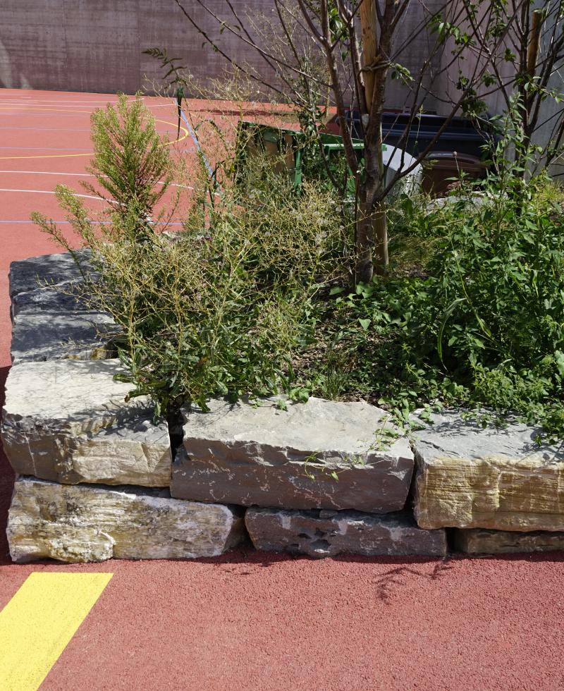 Collège de la Romanellaz