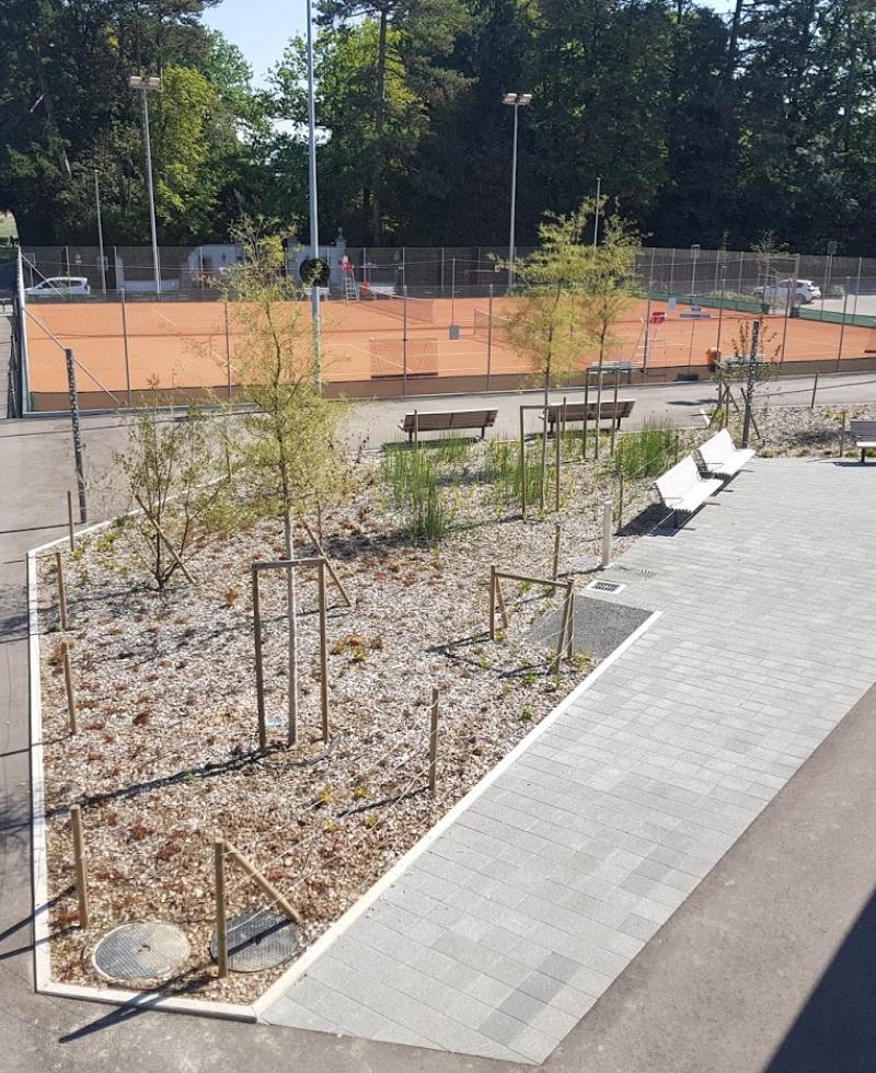 Zone sportive - plantations