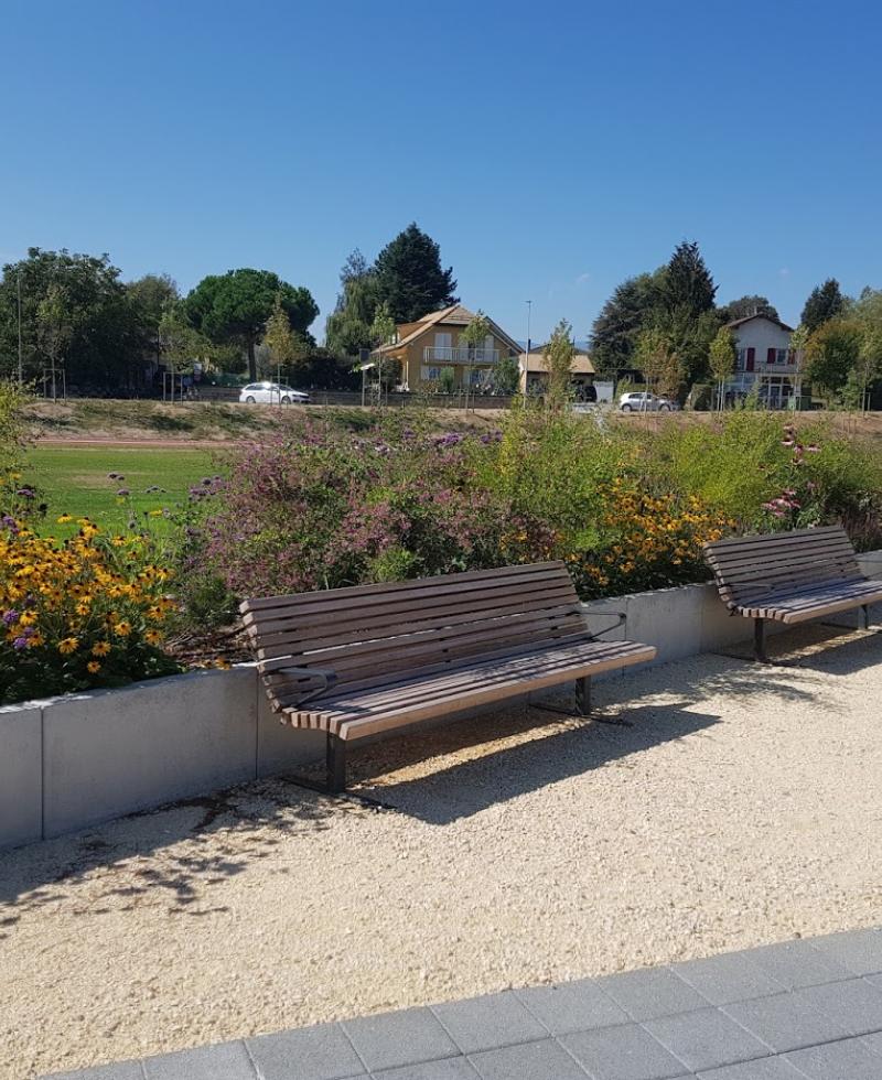 Zone sportive - plantations