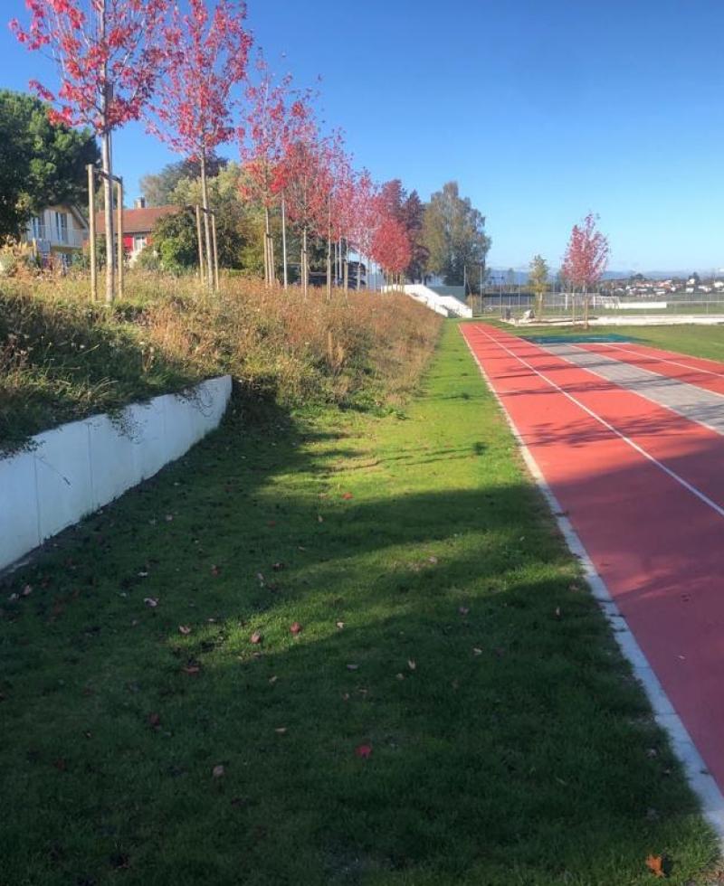 Zone sportive - plantations