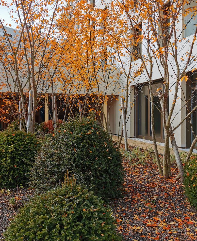 evertis-logements-quartier-pre-des-comtes