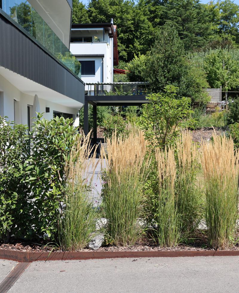 plantation de graminée et vivaces