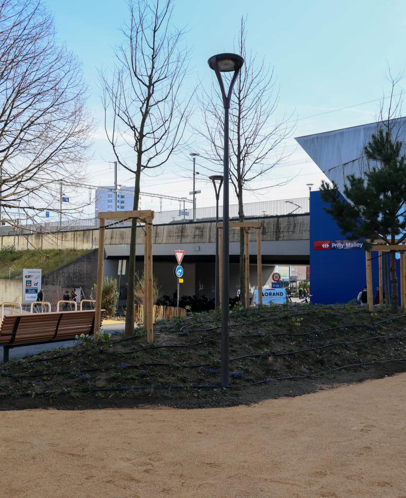 evertis_malley_phare_7